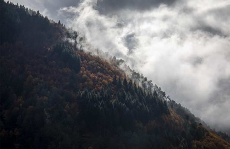 Festival de Fotografia de Manteigas destaca mudanças na paisagem