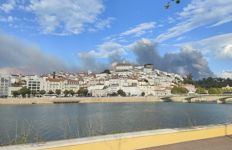 Universidade de Coimbra organiza curso sobre incêndios na interface urbano-florestal