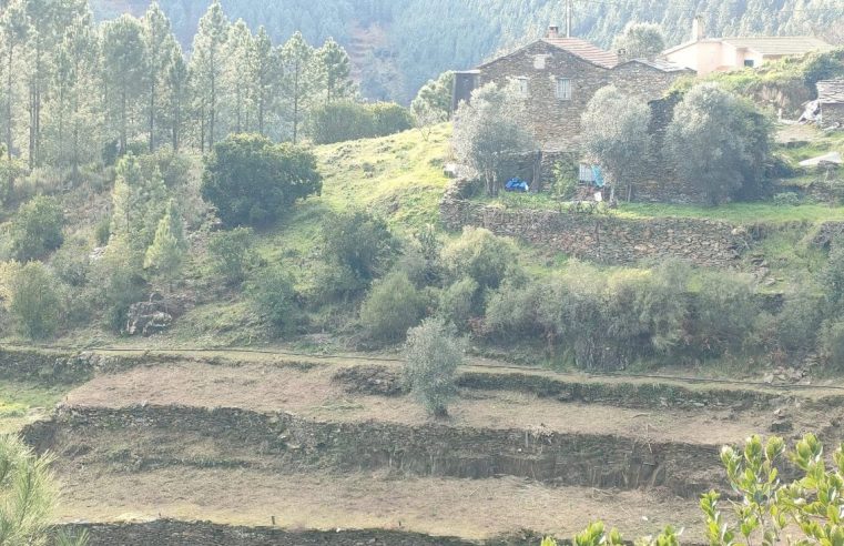 Seia investe 448 mil euros na proteção de 11 aldeias
