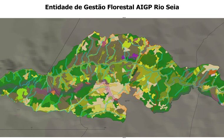 Governo investe 18,6 milhões na gestão da paisagem de Seia, Oliveira e Gouveia