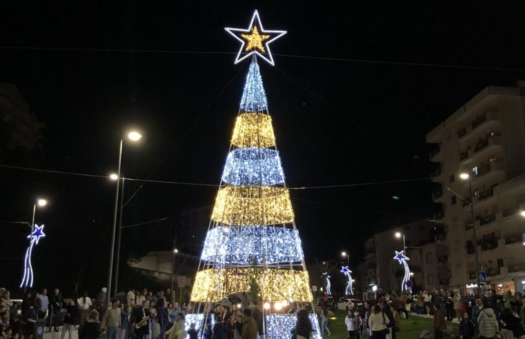 Luzes de Natal já brilham nas ruas de Seia
