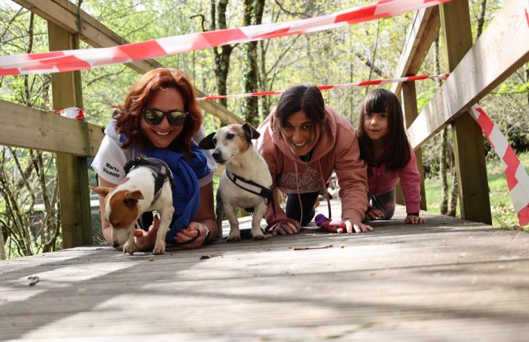 Canil Municipal de Seia promove Open Day