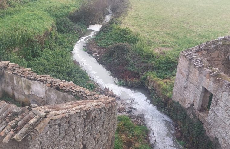 Meruge denuncia “descarga criminosa” das fábricas de queijo de Seia no rio Cobral