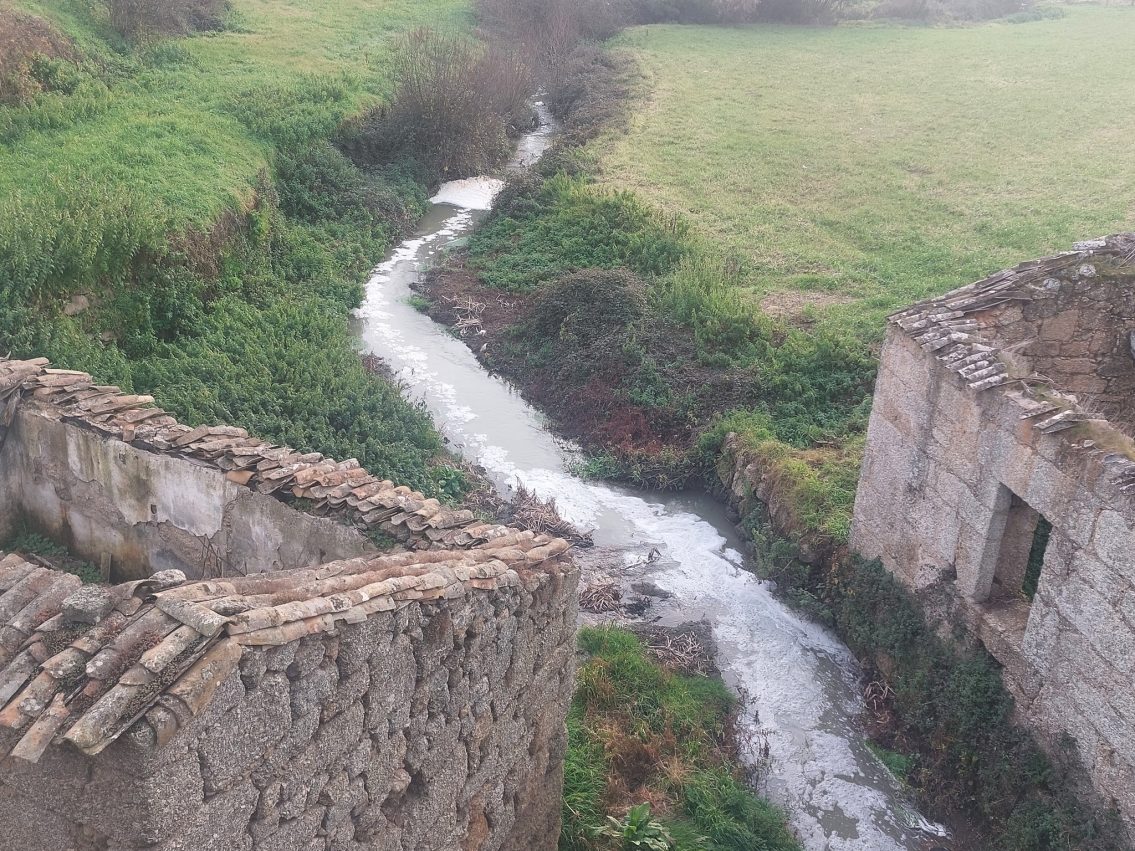 Meruge denuncia “descarga criminosa” das fábricas de queijo de Seia no rio Cobral