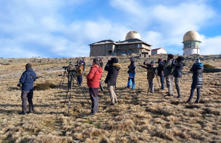 CISE convida a observar aves de Inverno na Serra da Estrela