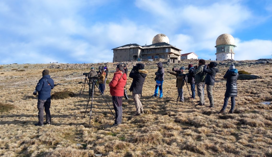CISE convida a observar aves de Inverno na Serra da Estrela