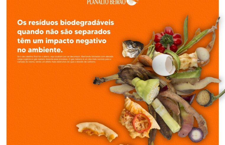 Seia vai ter serviço de recolha porta-a-porta de biorresíduos