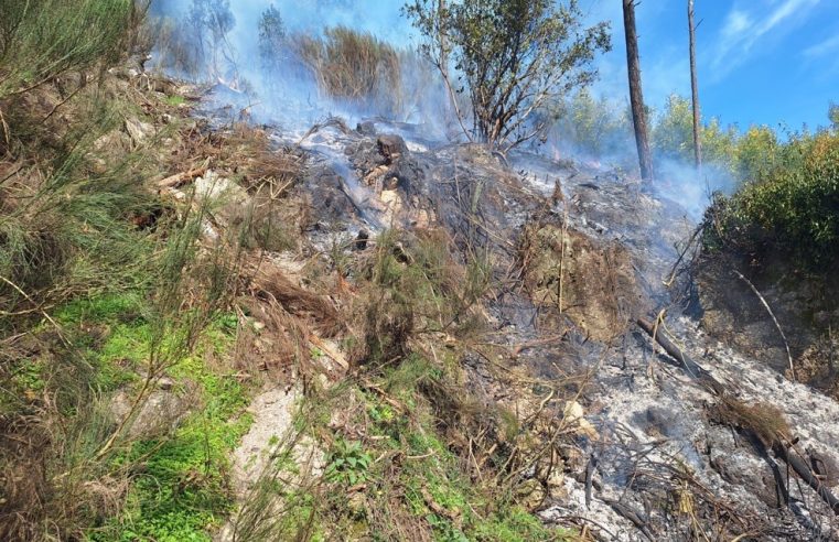 GNR identifica homem por fogo florestal em Sandomil