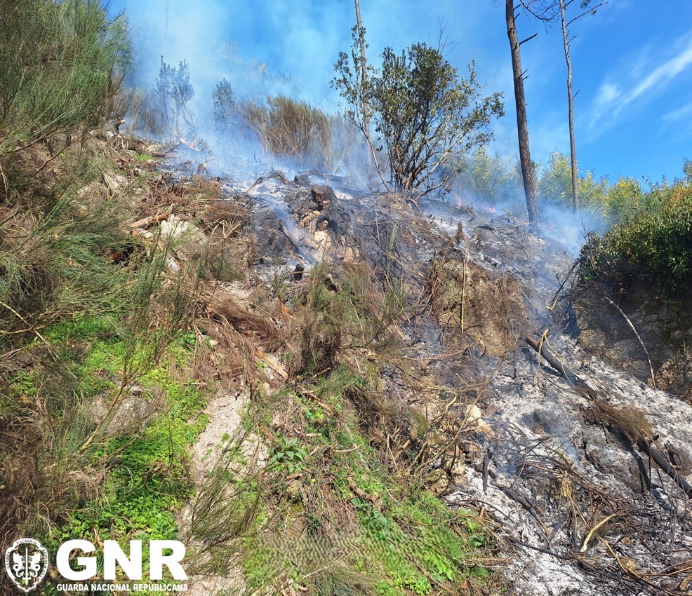 GNR identifica homem por fogo florestal em Sandomil