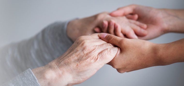 Seia promove formação sobre a Metodologia de Cuidados Humanitude