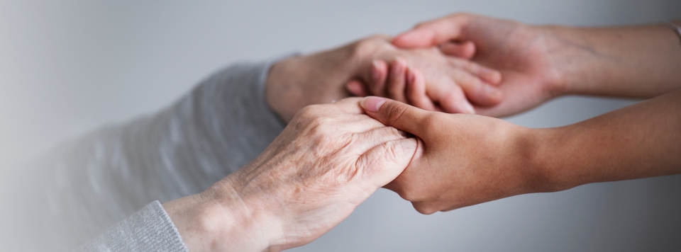 Seia promove formação sobre a Metodologia de Cuidados Humanitude