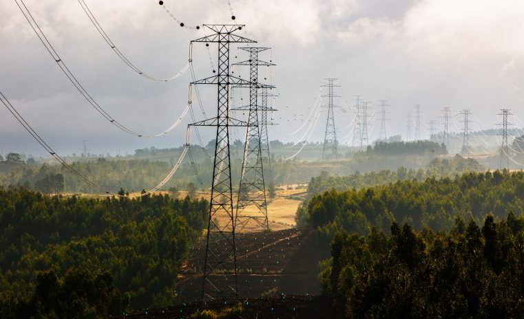 REN limpa 495 hectares de floresta no distrito da Guarda