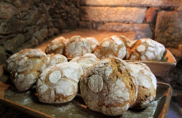Museu do Pão vai premiar os melhores pães de Portugal