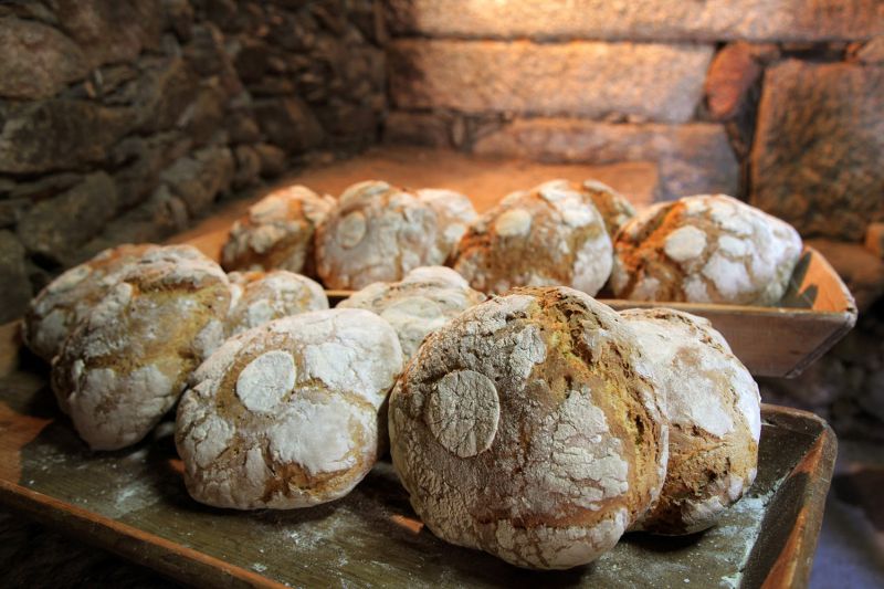 Museu do Pão vai premiar os melhores pães de Portugal