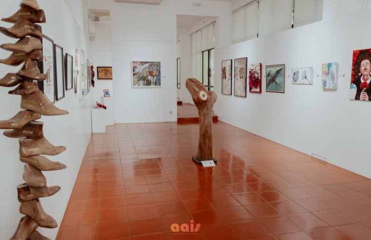 Festival ARTIS transforma Seia num palco de expressão artística e reflexão contemporânea