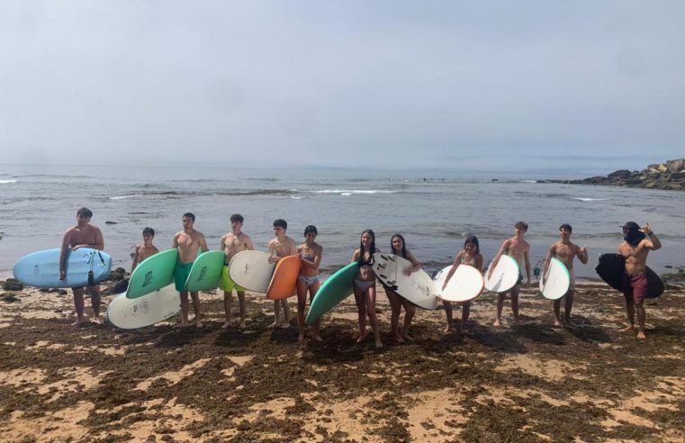 Seia promove duas semanas de férias para crianças e jovens