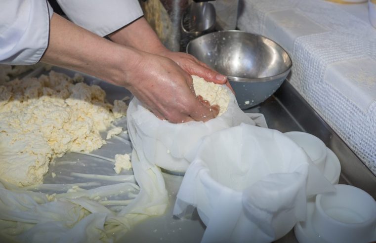 Oliveira do Hospital recebe workshop sobre inovação tecnológica na produção de queijos tradicionais