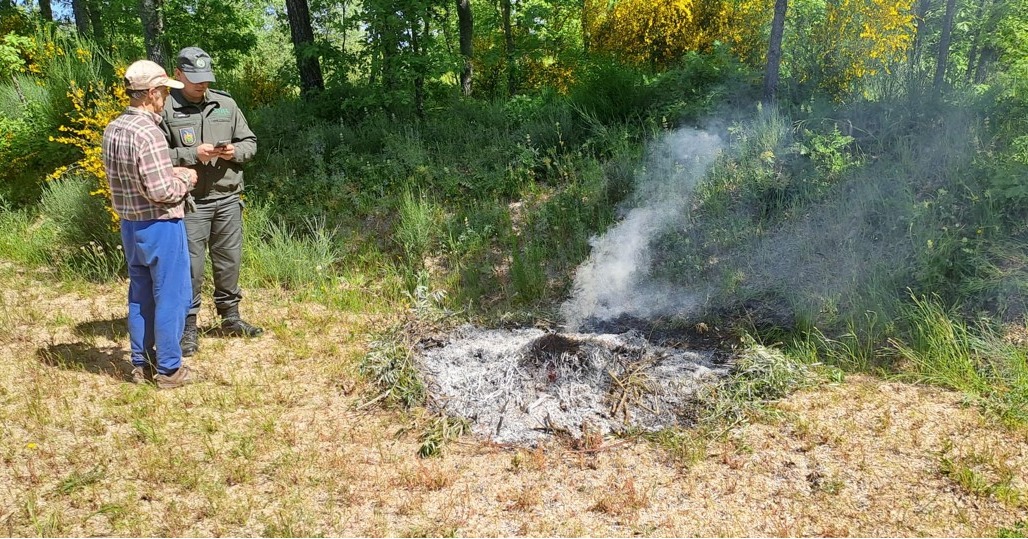Câmara de Seia proíbe queimas e queimadas até outubro