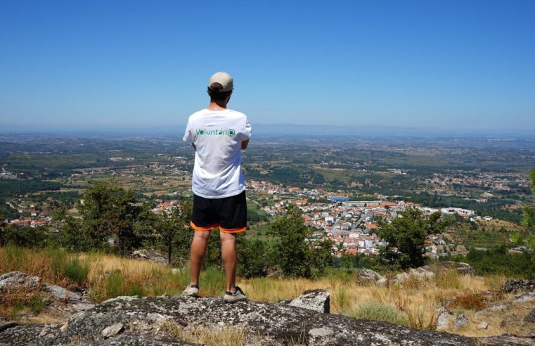 Seia procura voluntários jovens para preservação da natureza e florestas