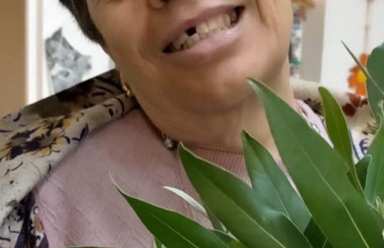 Idosa desaparecida de lar já foi encontrada