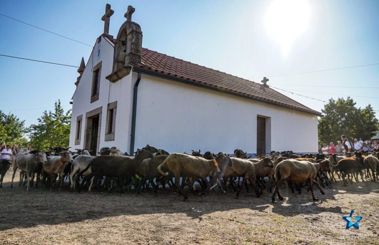 Bênção dos Rebanhos em Vila Franca da Serra