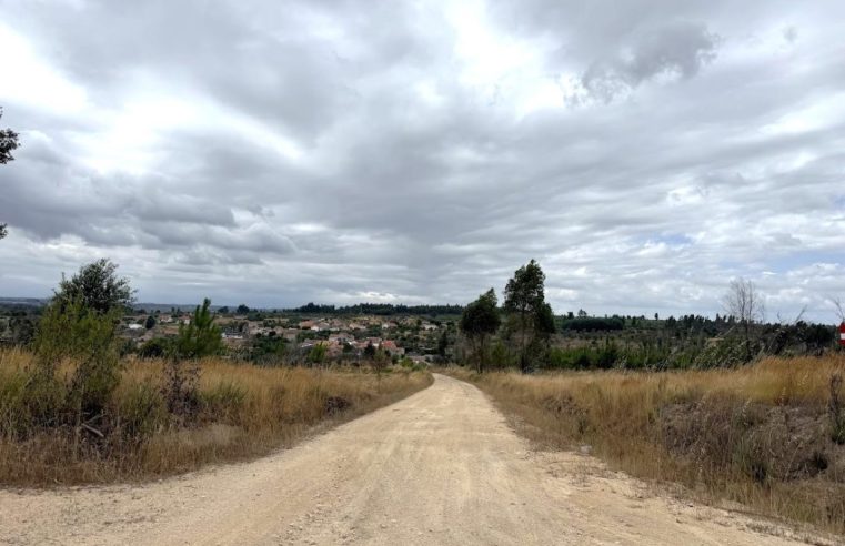 Câmara Municipal investe na requalificação de caminhos florestais