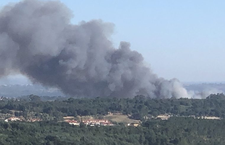 Incêndio em Pinhanços mobiliza perto de 50 bombeiros