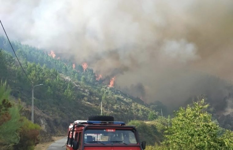 Fogo em Seia descontrolado em direção à Torre