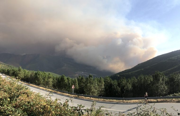 Incêndio de Seia ameaça pulmão verde de Alvoco da Serra