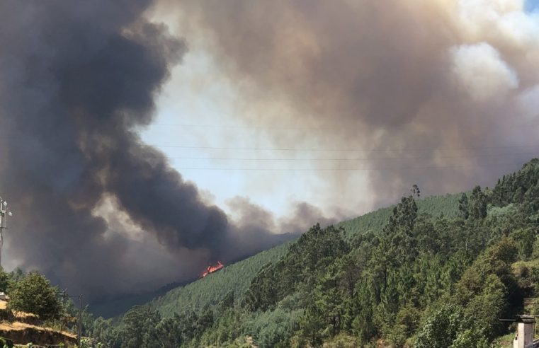 Incêndio em Seia mantém três frentes activas