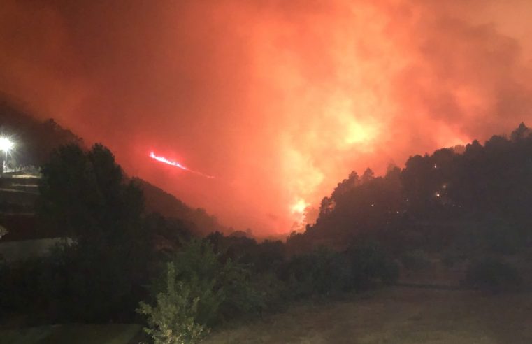 Pulmão verde de Alvoco da Serra reduzido a cinzas. Fogo mantém 3 frentes ativas