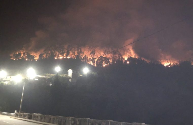 Seia reforça apoio às populações e disponibiliza linha de contacto direto