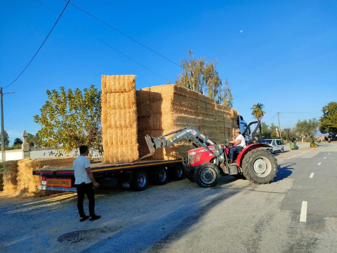 Associação de Criadores de Ovinos apoia pastores afetados pelos incêndios na Serra da Estrela