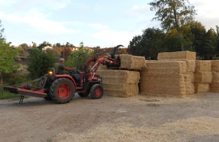 Câmara de Seia distribui alimentação para animais afetados pelo incêndio