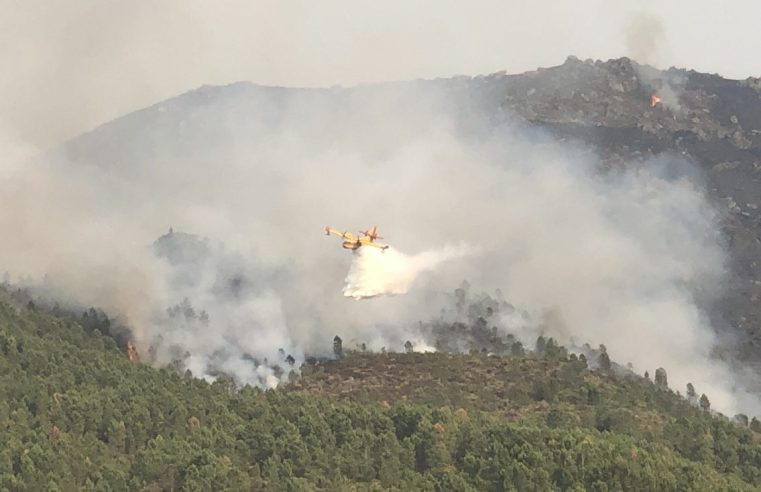 Bombeiros apeados combatem frente de fogo em Seia