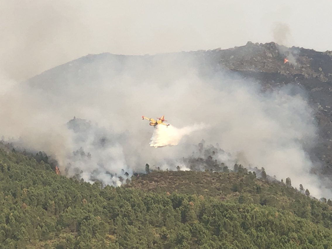 Bombeiros apeados combatem frente de fogo em Seia