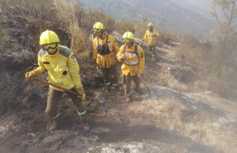 Sapadores Florestais de Seia fazem combate apeado nas encostas da Serra da Estrela