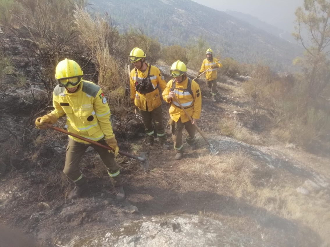 Sapadores Florestais de Seia fazem combate apeado nas encostas da Serra da Estrela