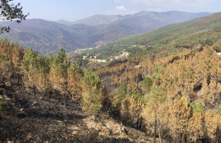 Incêndio agrava falta de água em aldeias de Alvoco da Serra