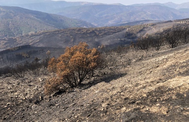 “Por Serras Dignas”: movimentos juntam-se na Torre em defesa das comunidades serranas