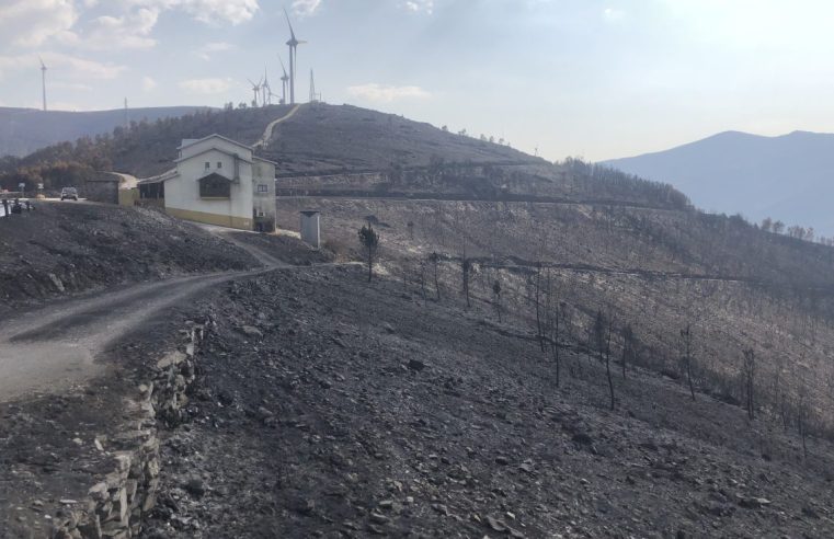 Presidente da Câmara de Seia critica combate aos incêndios “à beira da estrada”