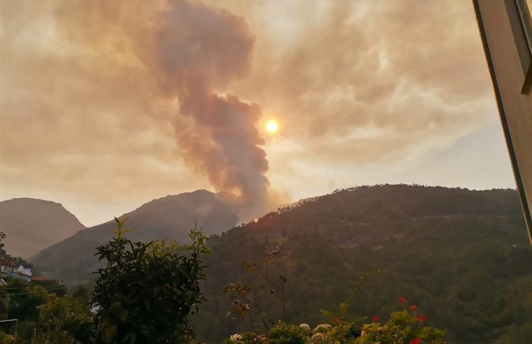 Incêndio em Loriga continua a destruir Parque Natural da Serra da Estrela