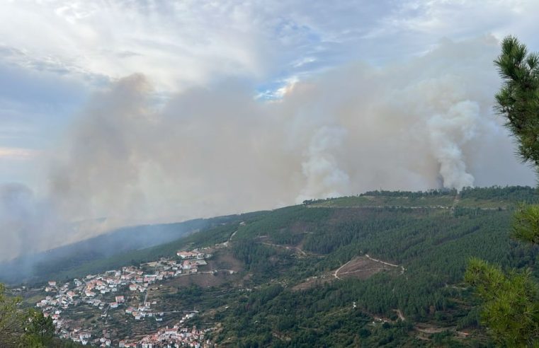 Proteção das habitações é prioridade de combate ao incêndio em Seia