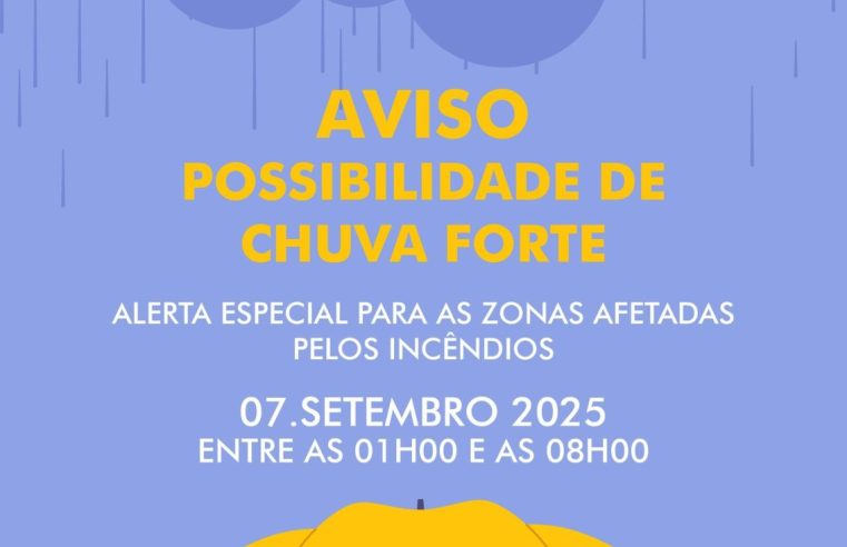 Chuva: Proteção Civil lança alerta para medidas preventivas nas áreas ardidas