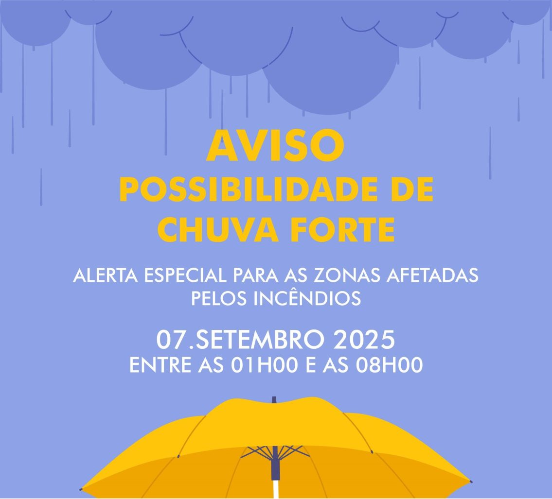 Chuva: Proteção Civil lança alerta para medidas preventivas nas áreas ardidas