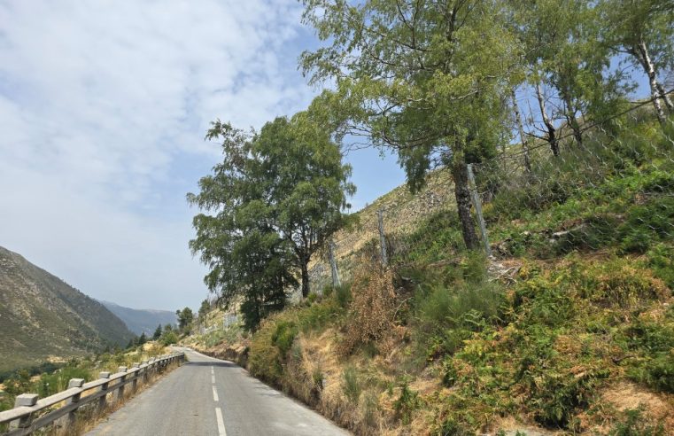 Estrada Regional 338 abriu totalmente ao trânsito em Manteigas