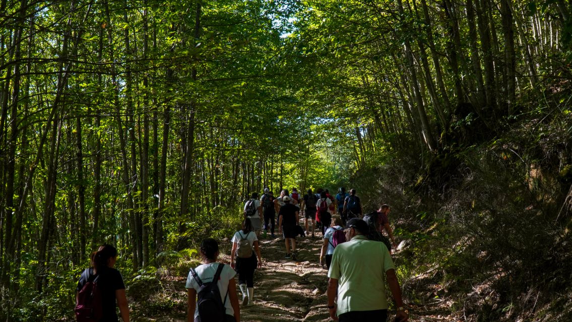 Festival da Montanha está de regresso à Serra da Estrela para celebrar a natureza