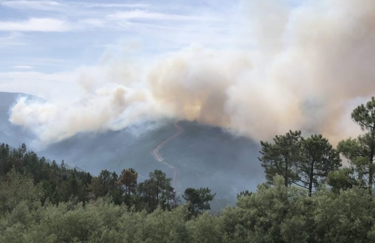 Desavença entre vizinhos na origem do fogo de Sandomil. Suspeito já foi detido