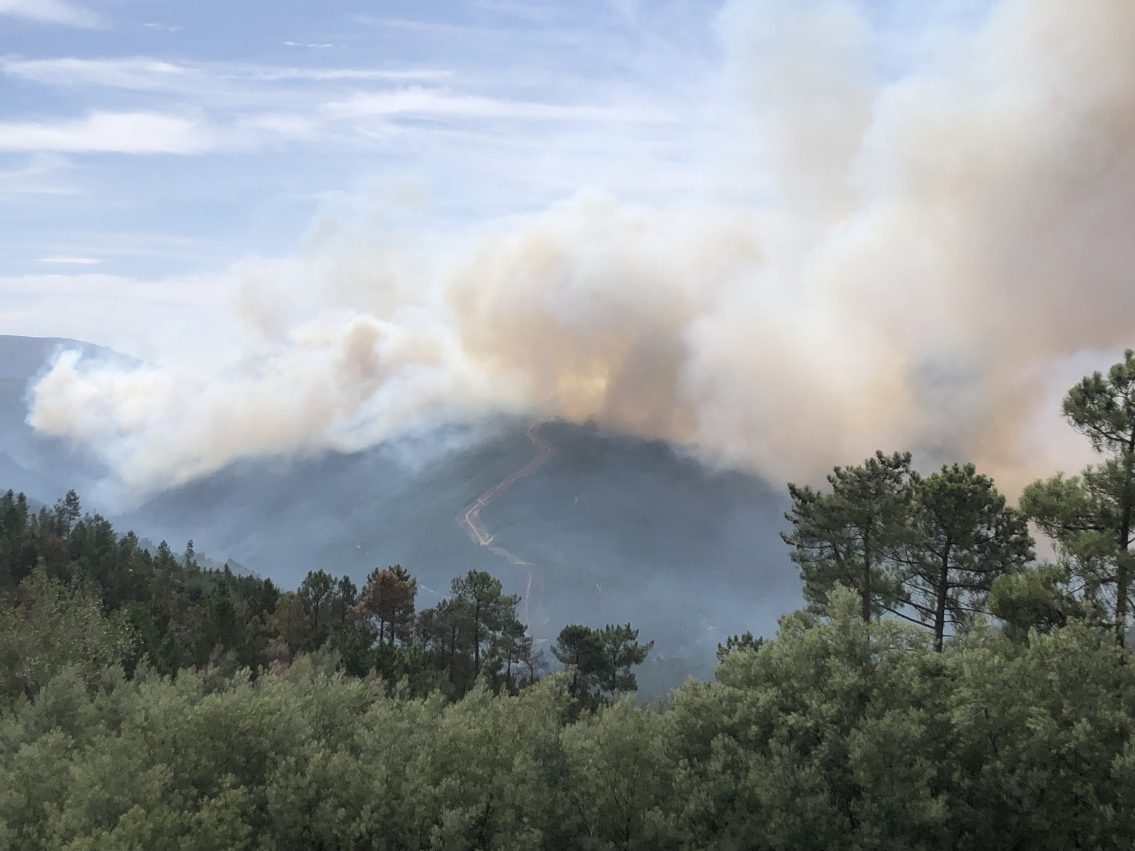 Desavença entre vizinhos na origem do fogo de Sandomil. Suspeito já foi detido