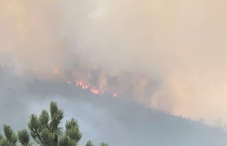 272 operacionais e 17 meios aéreos combatem incêndio no concelho de Seia